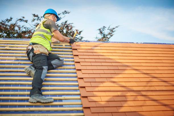 Best Asphalt Shingle Roofing  in Helena Flats, MT